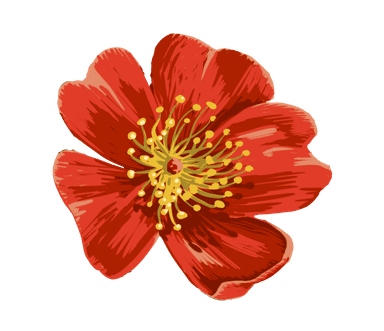 red_flower