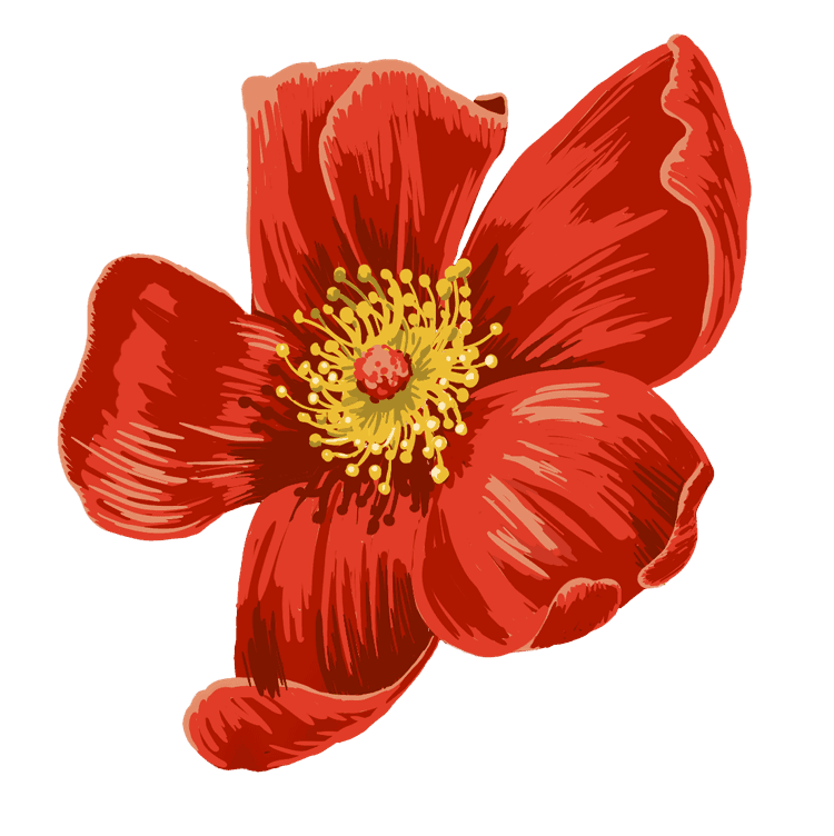 red_flower