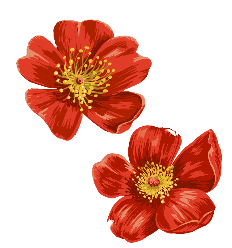 red_flower