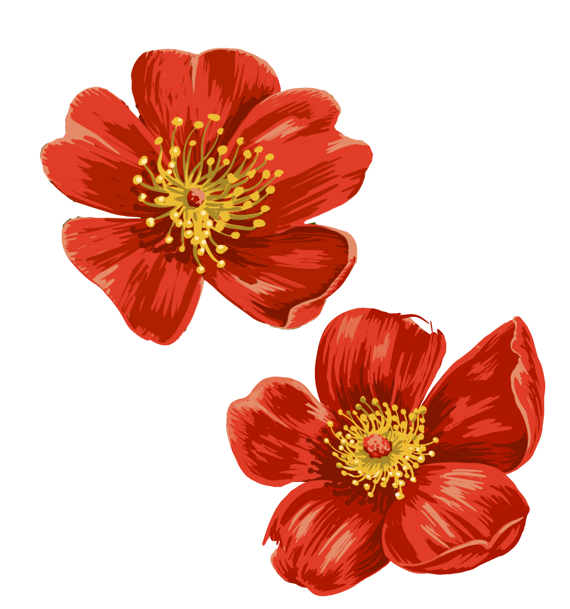 4