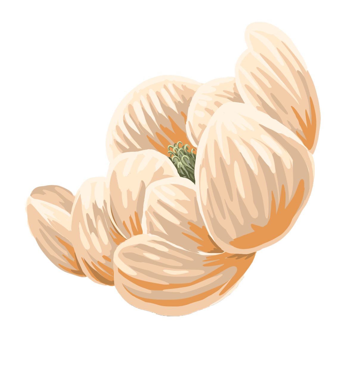 whiteflower