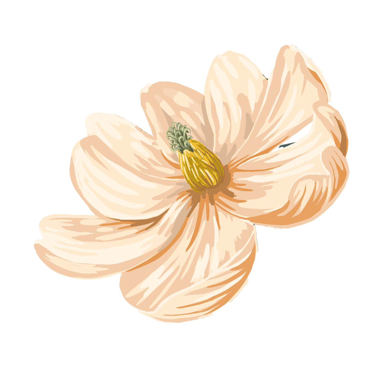 White flower