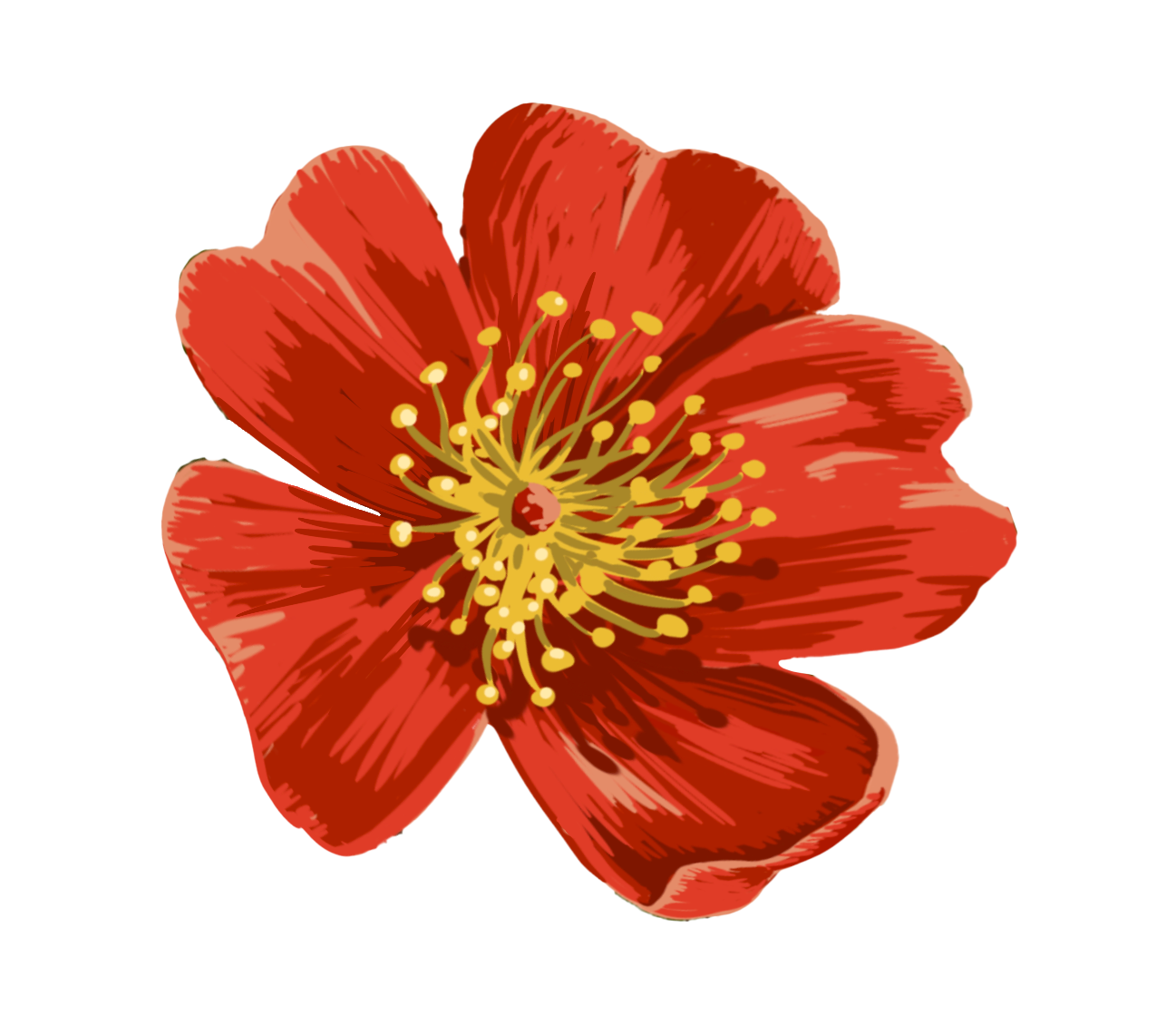 red_flower